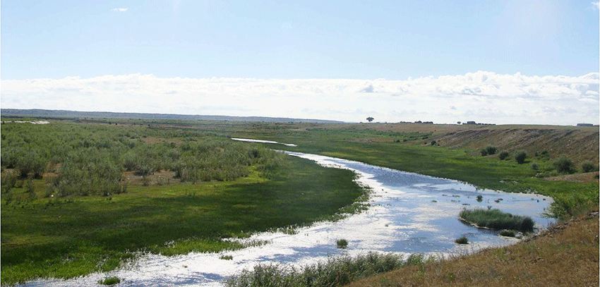 La plus belle rivière de l`est mongolie