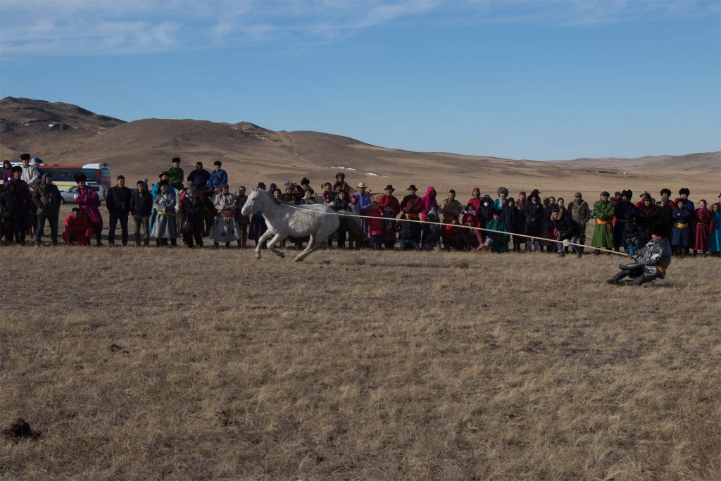 Dix mille chevaux de la steppe - 2019