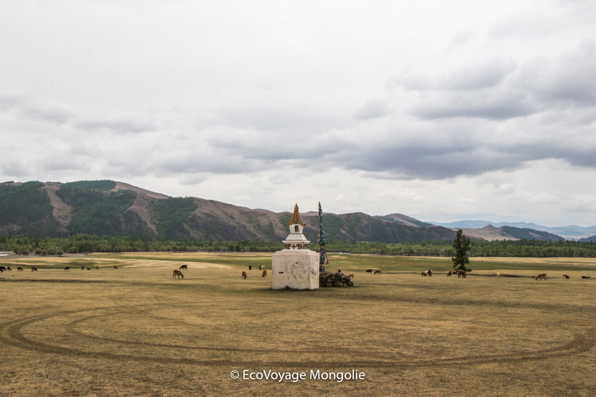 Stupa in Terelj