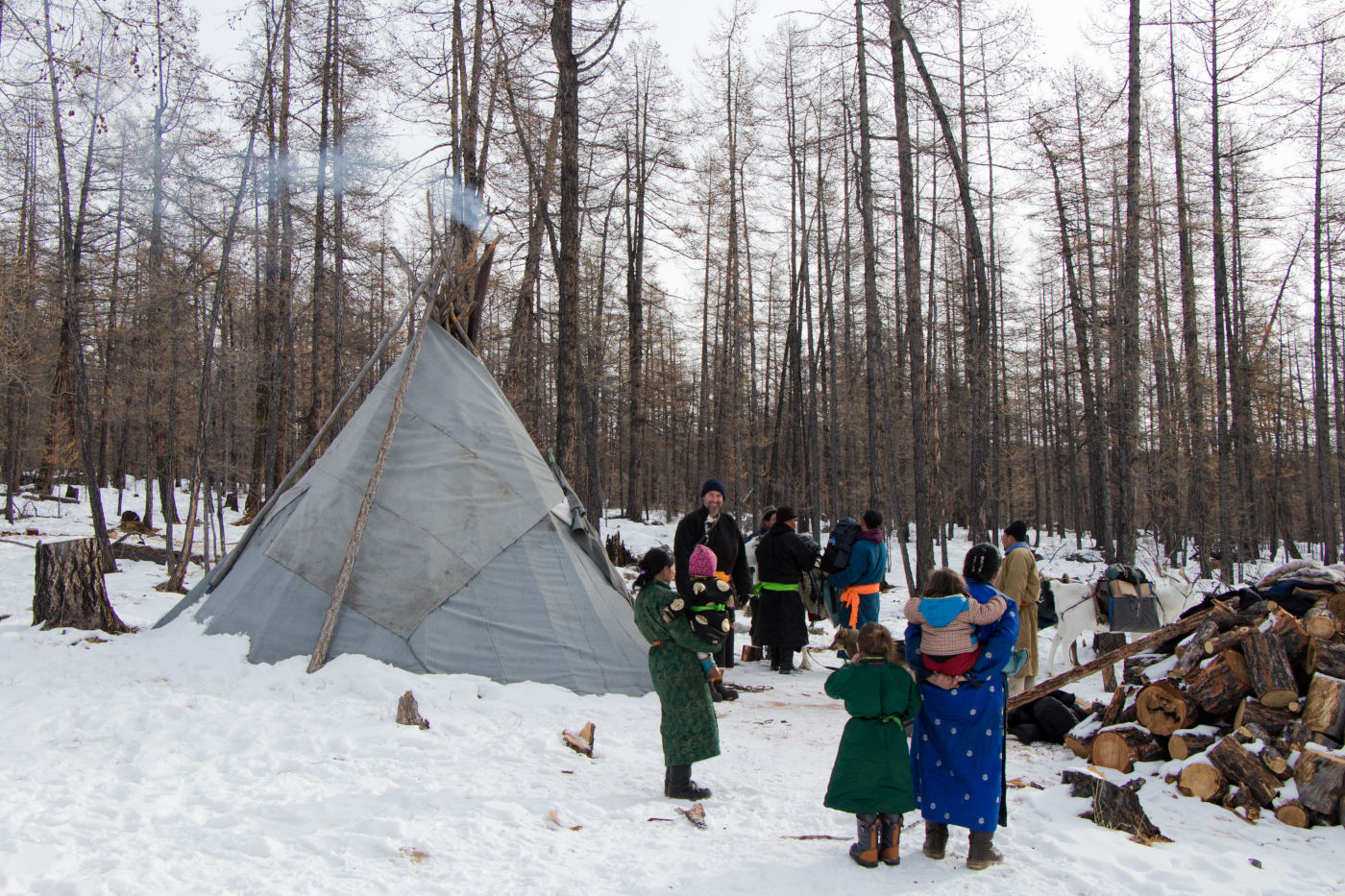 Reindeer nomadic famille