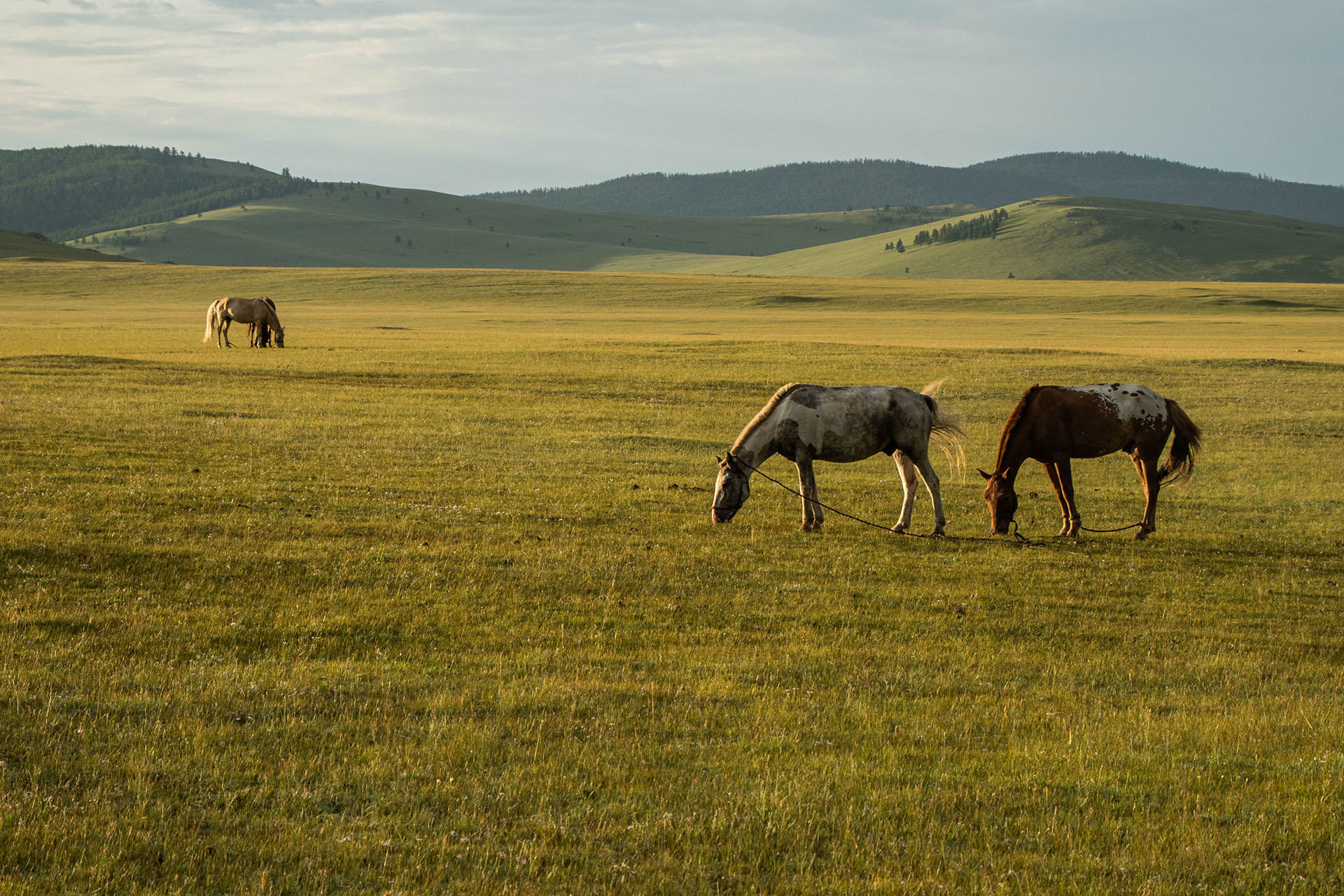 Épopée nomade à cheval