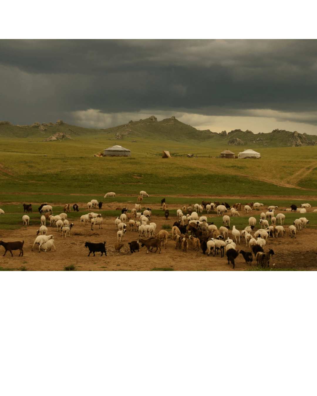 Glamping dans la steppe & Voyage initiatique avec le Yatga des Monts Altaï