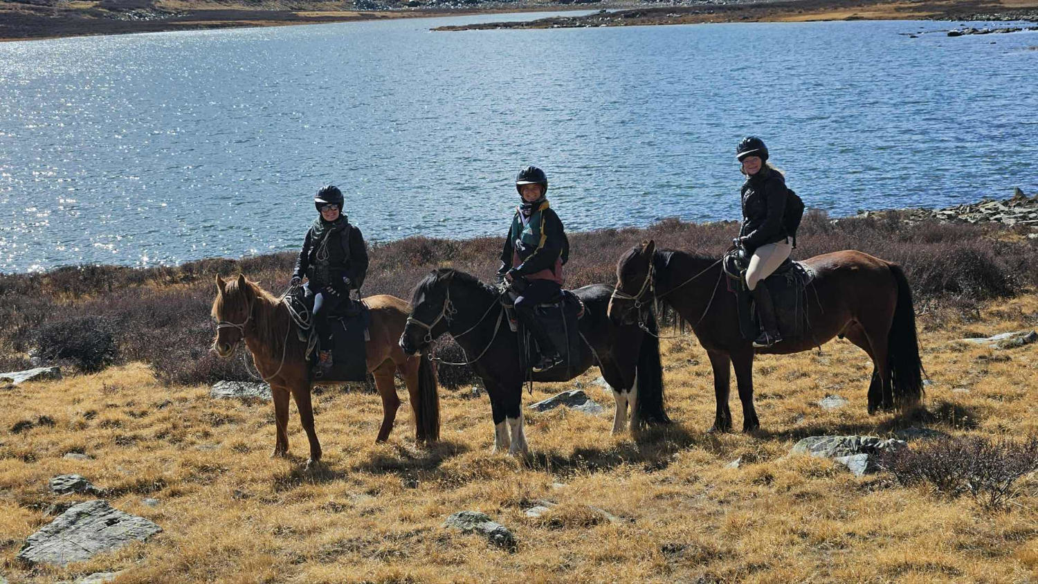 Horseback voyage