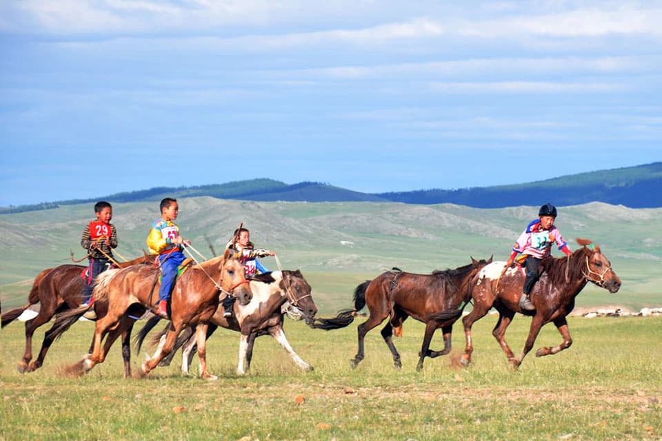 Les courses de chevaux mongols