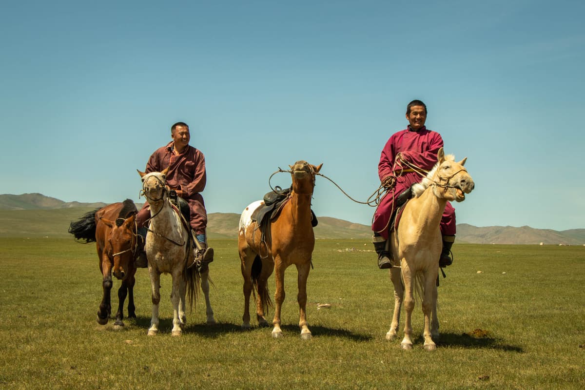 Horse guides