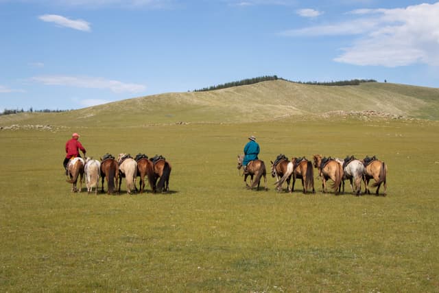 Voyage à cheval en Mongolie : Liberté, nature et traditions nomades
