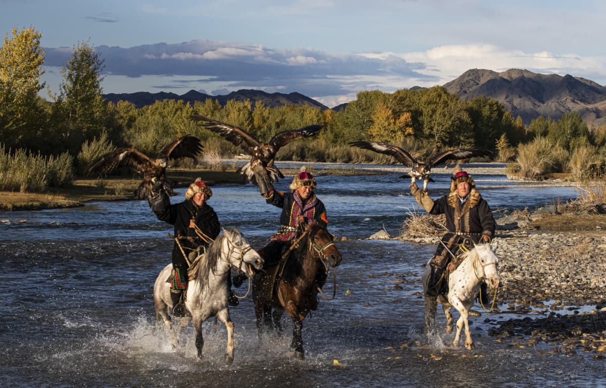 Eagle hunter - western mongolie