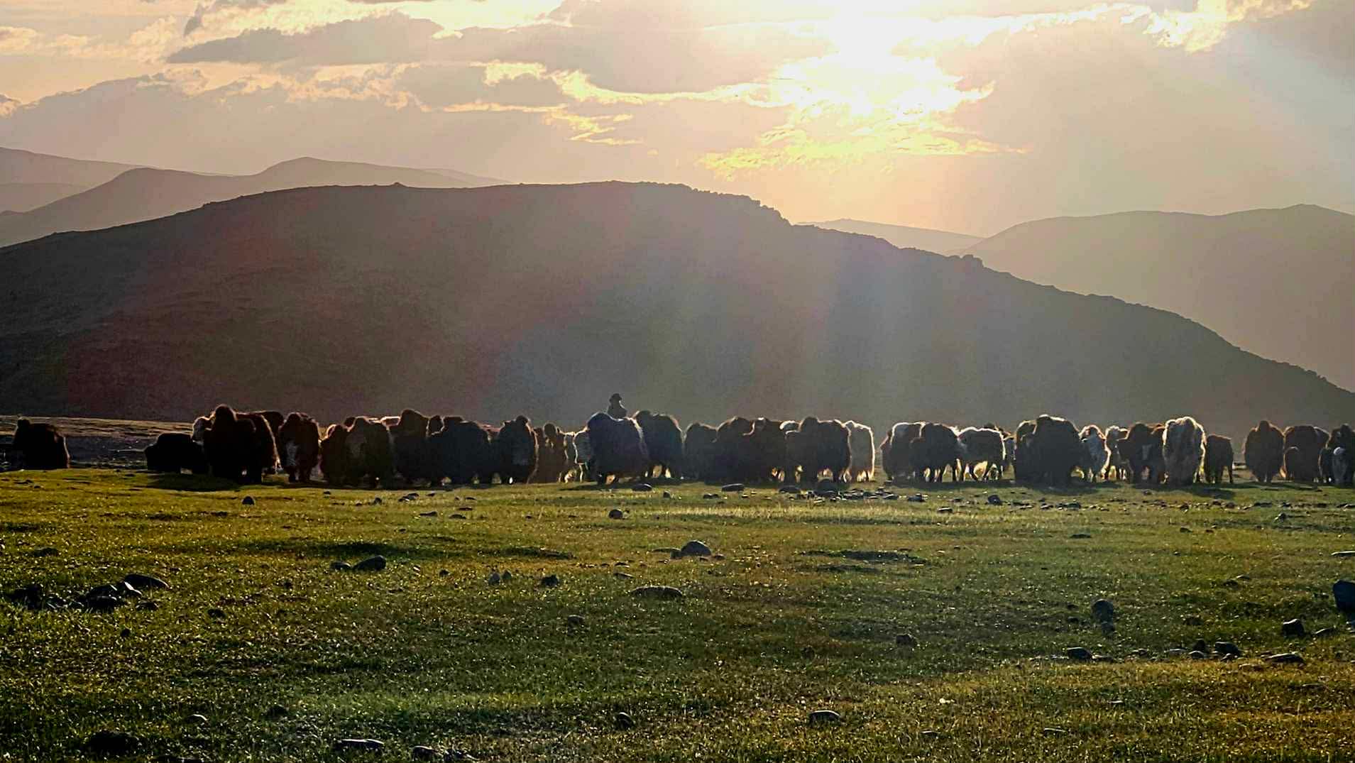 Aventure au parc reservé du Tsambagarav