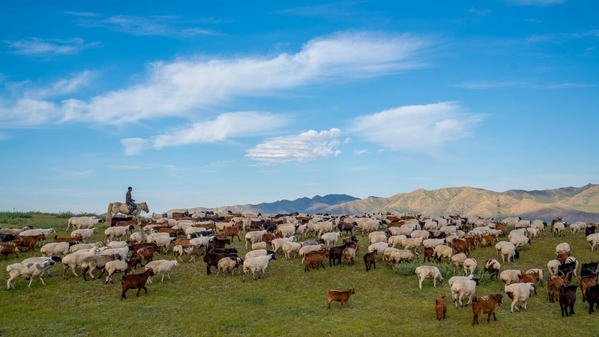 Zero carbone - Mongolie nomadic life