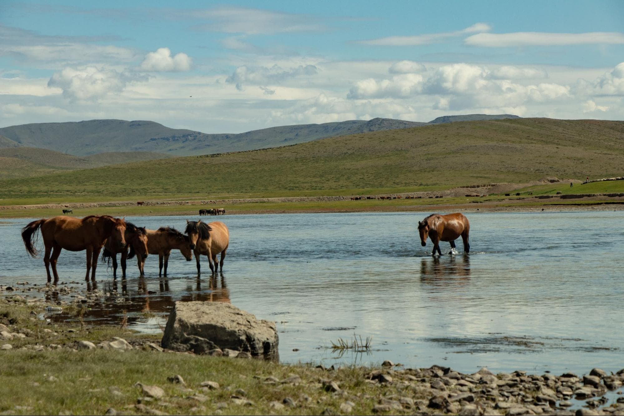 Voyage en Mongolie - Conseils