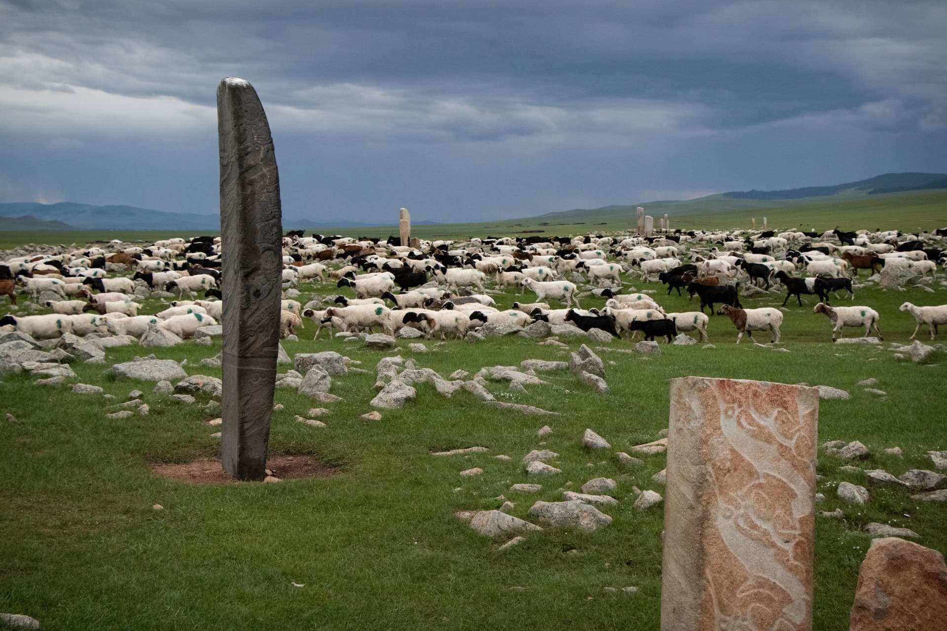 Voyage en Mongolie - Conseils