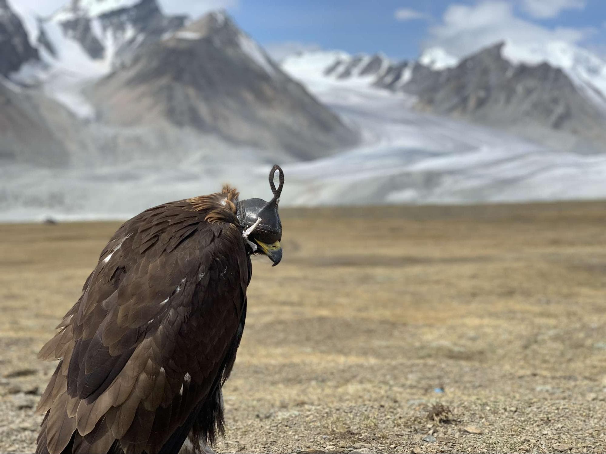 Voyage en Mongolie - Conseils