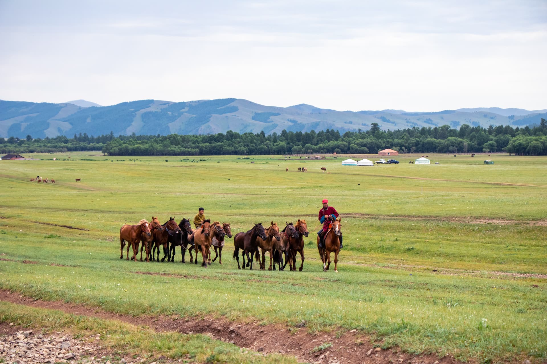 Voyage en Mongolie - Conseils