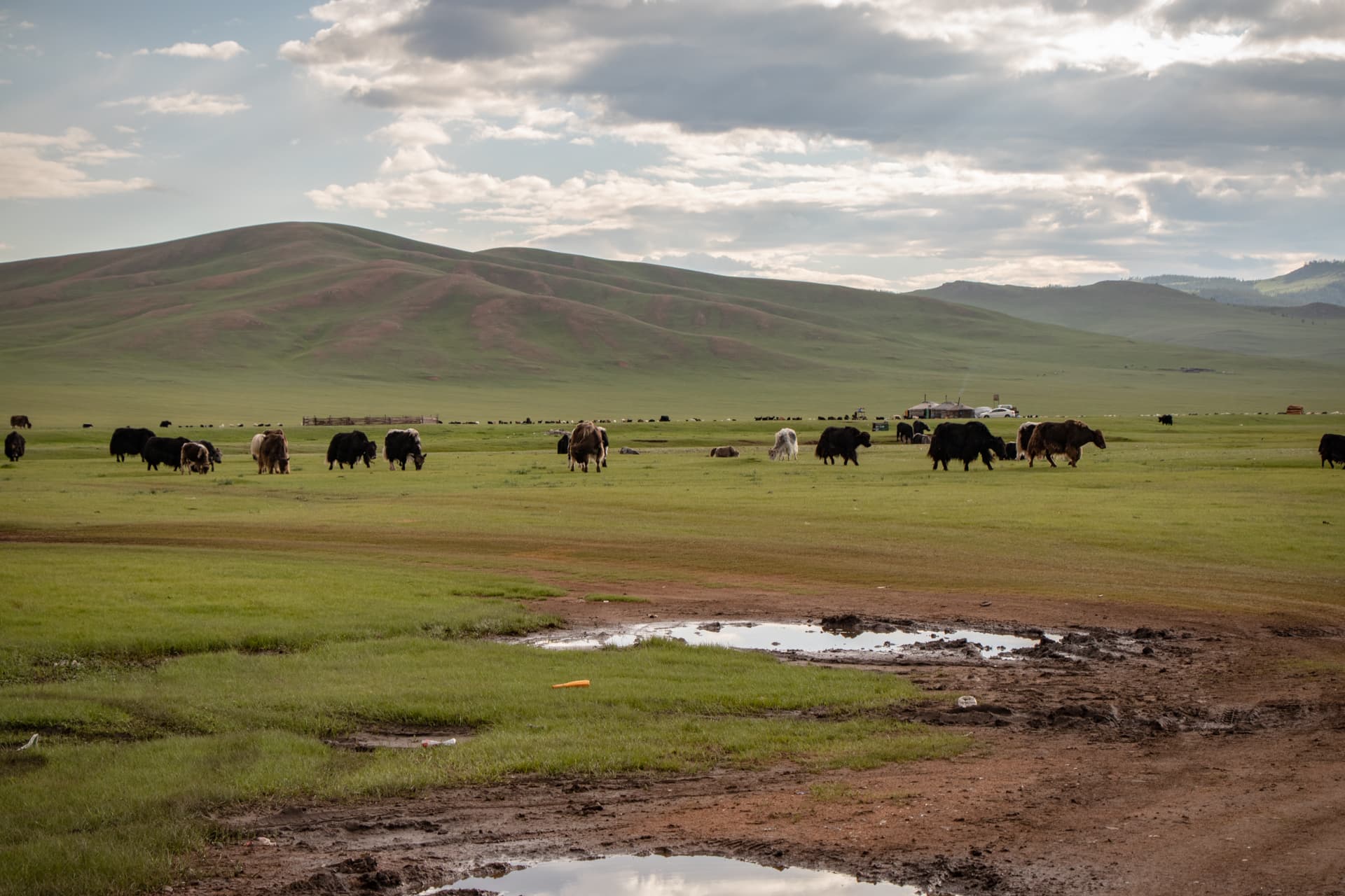 Voyage en Mongolie - Conseils