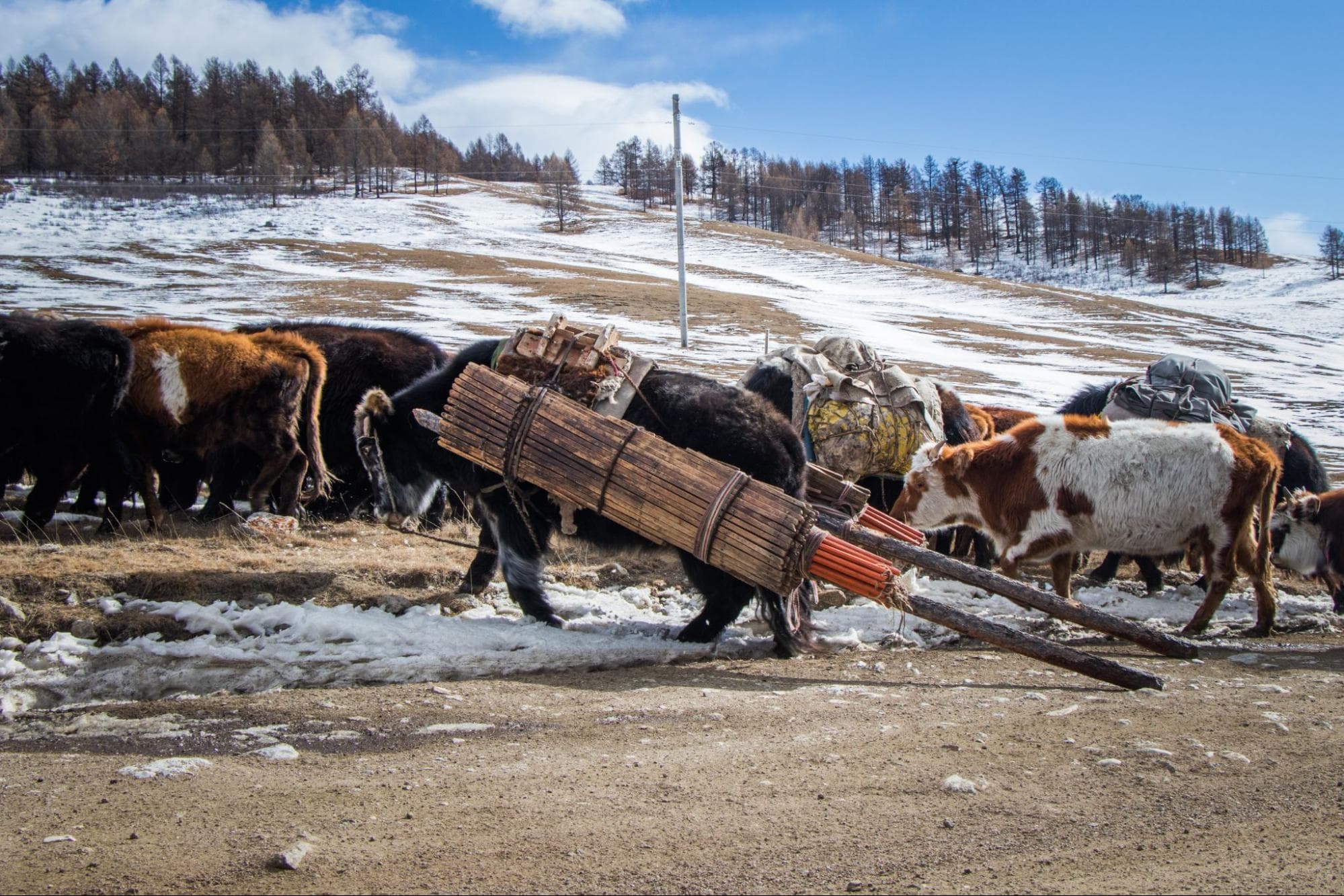 Voyage en Mongolie - Conseils
