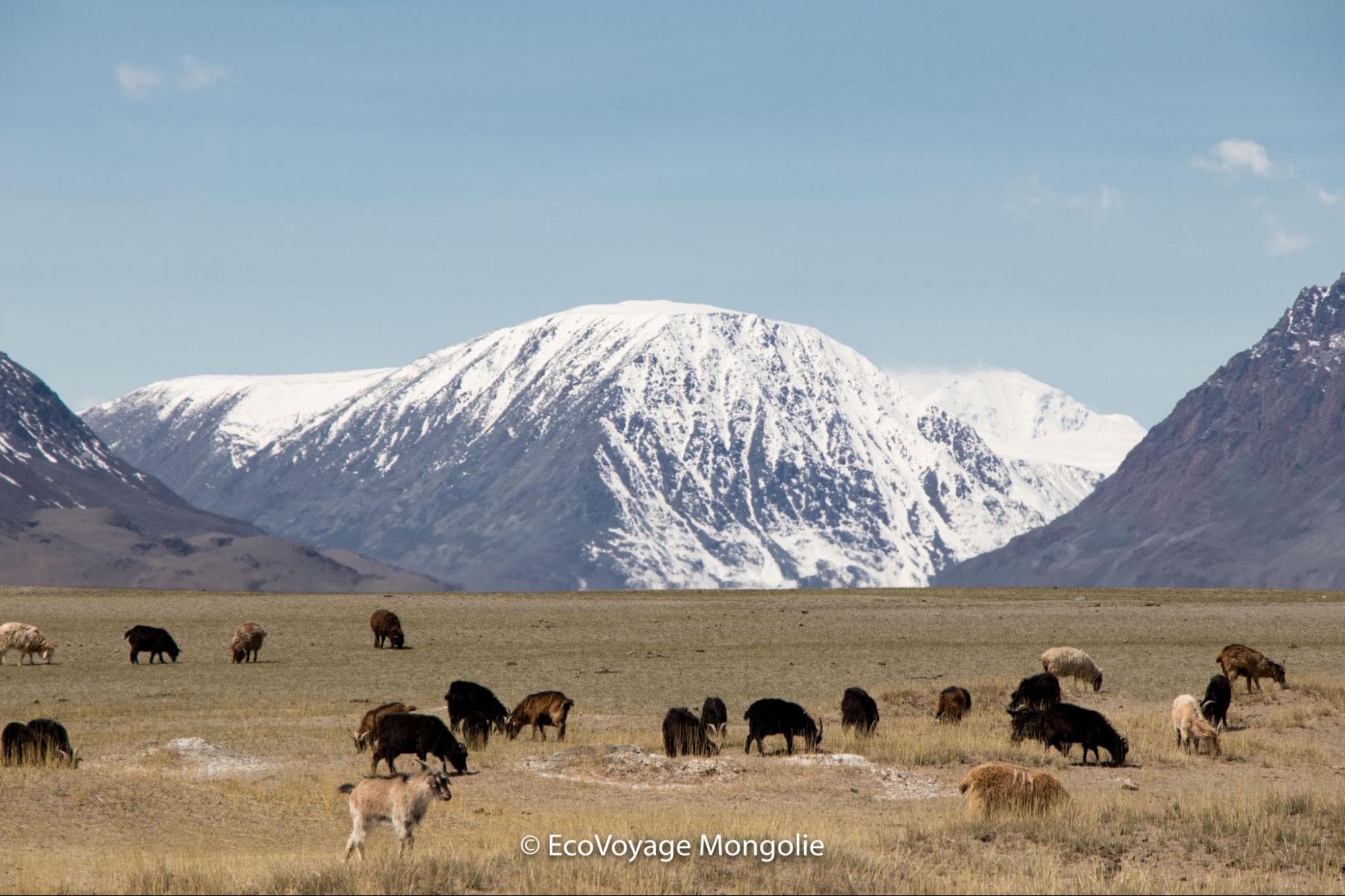 Voyage en Mongolie - Conseils