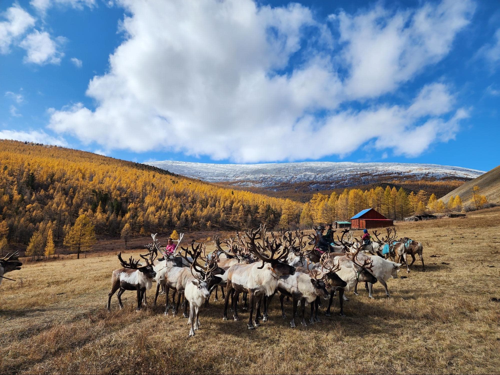 Voyage en Mongolie - Conseils
