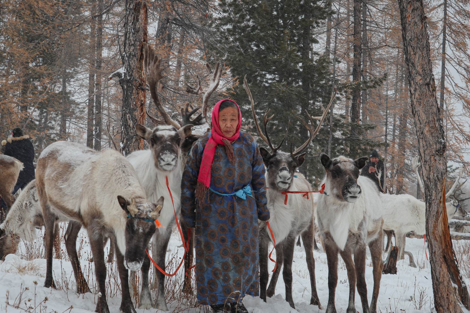 Voyage en Mongolie - Conseils