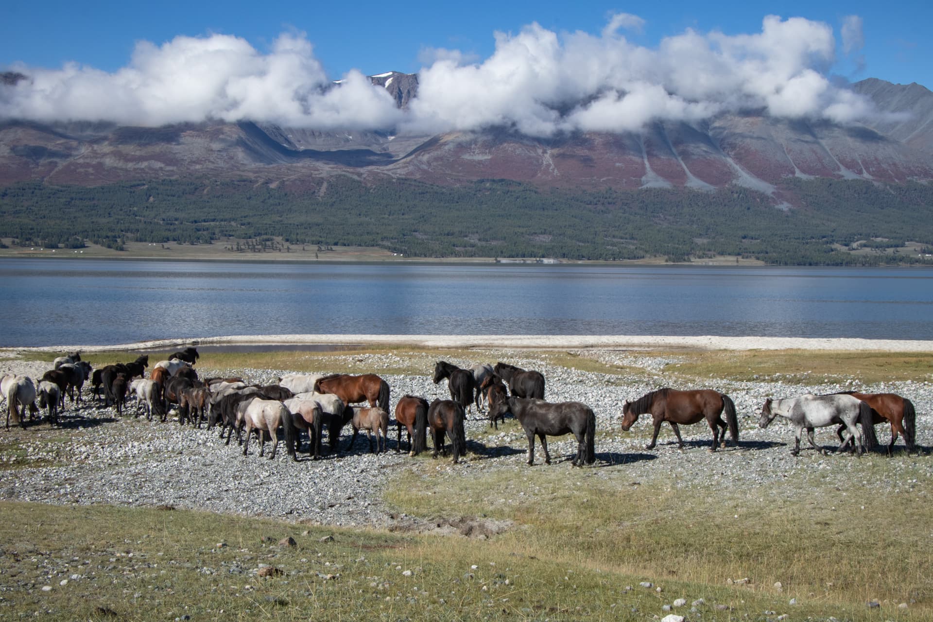 Voyage en Mongolie - Conseils