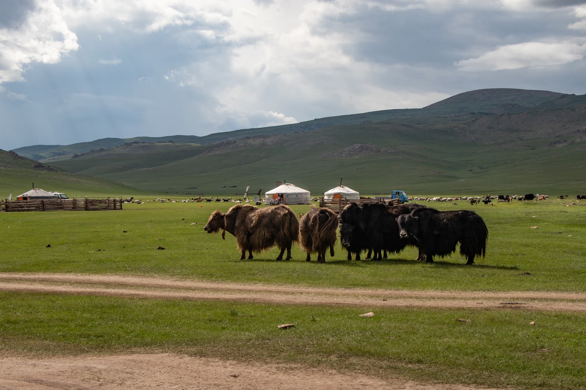 Voyage en Mongolie - Conseils