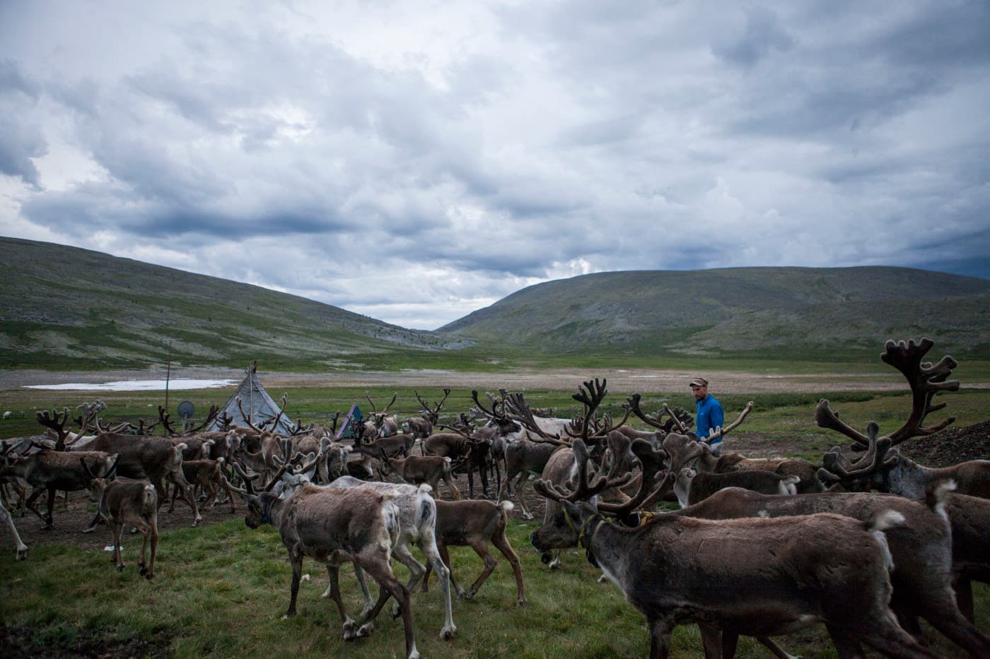 Reportage chez les tsaatans par Clémence Bakry et Julien Paul -un voyage en mongolie en juillet/2016