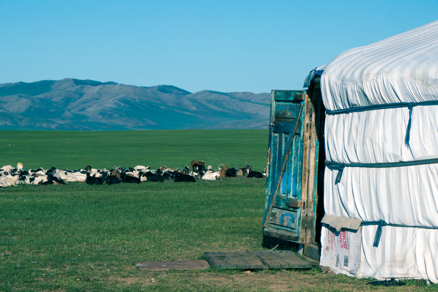 Quelques règles de savoir vivre chez les familles nomades en mongolie