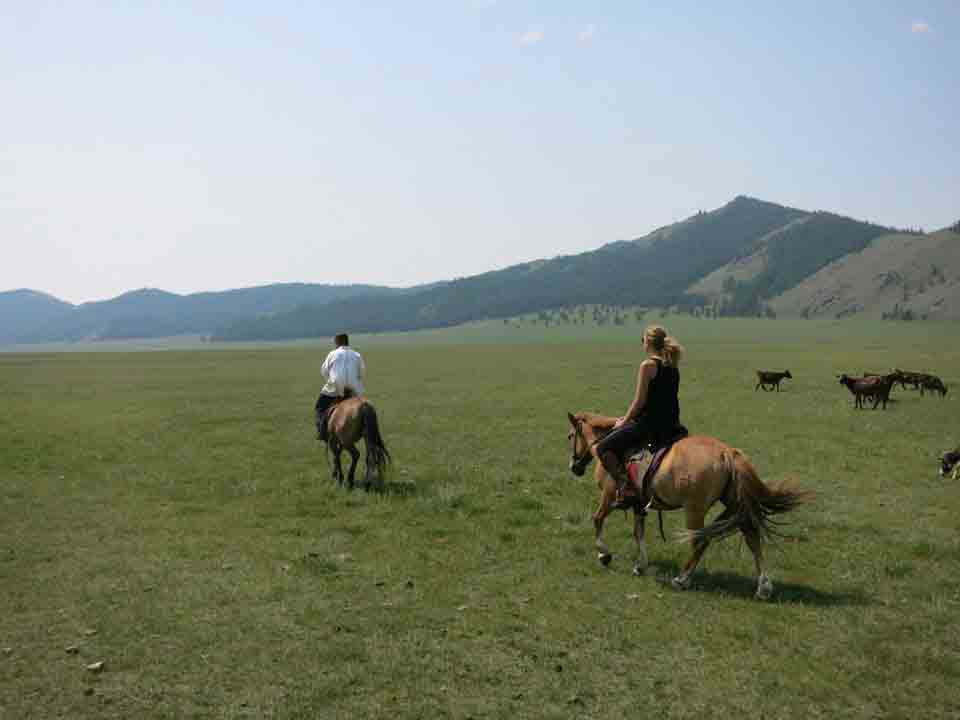 in Mongolie steppe