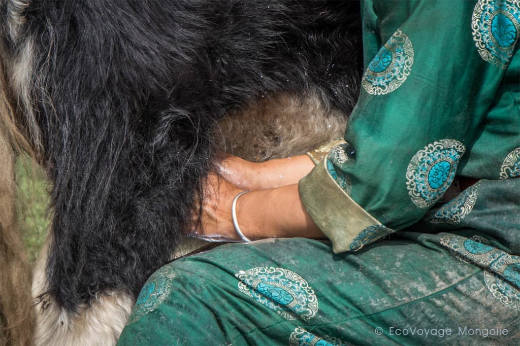 Au fil des yourte à Ulziit, la région de l’Arkhangaï