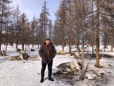 Tömöröö – Chauffeur Francophone