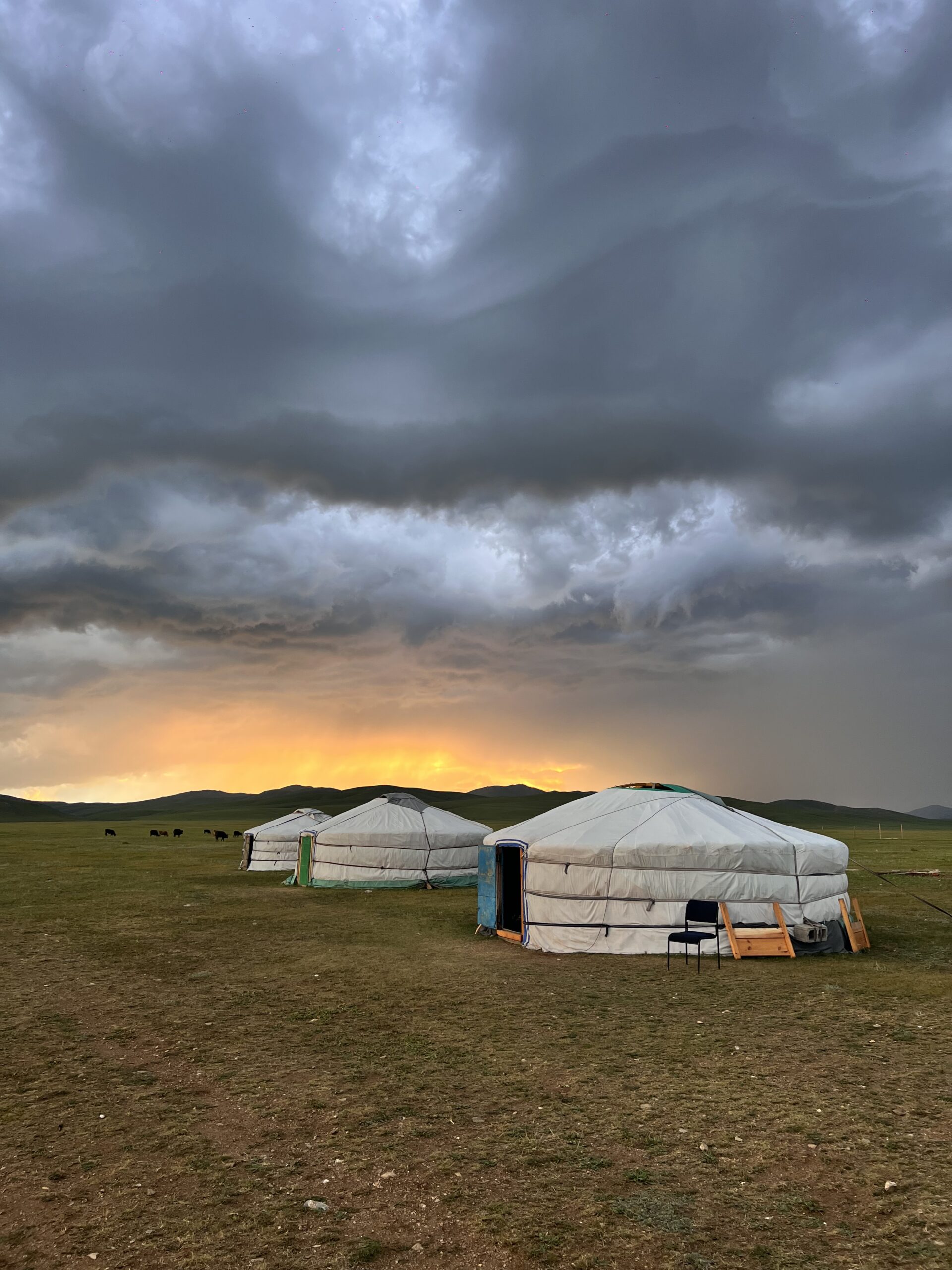 Golden Circuit – Luxe et Découverte entre Gobi et Centre de la Mongolie