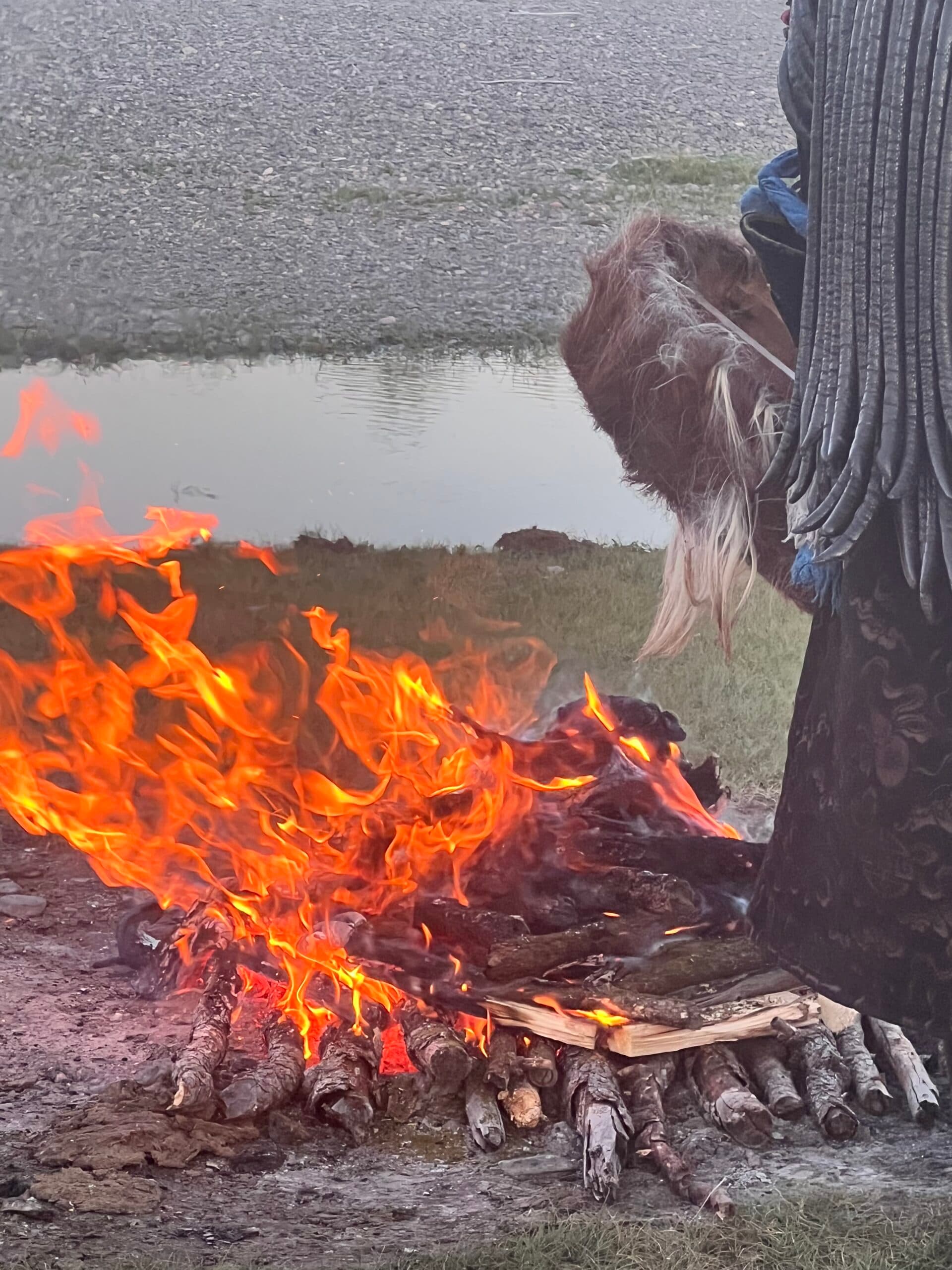 Activités et séminaires pour découvrir et pratiquer le chamanisme mongol