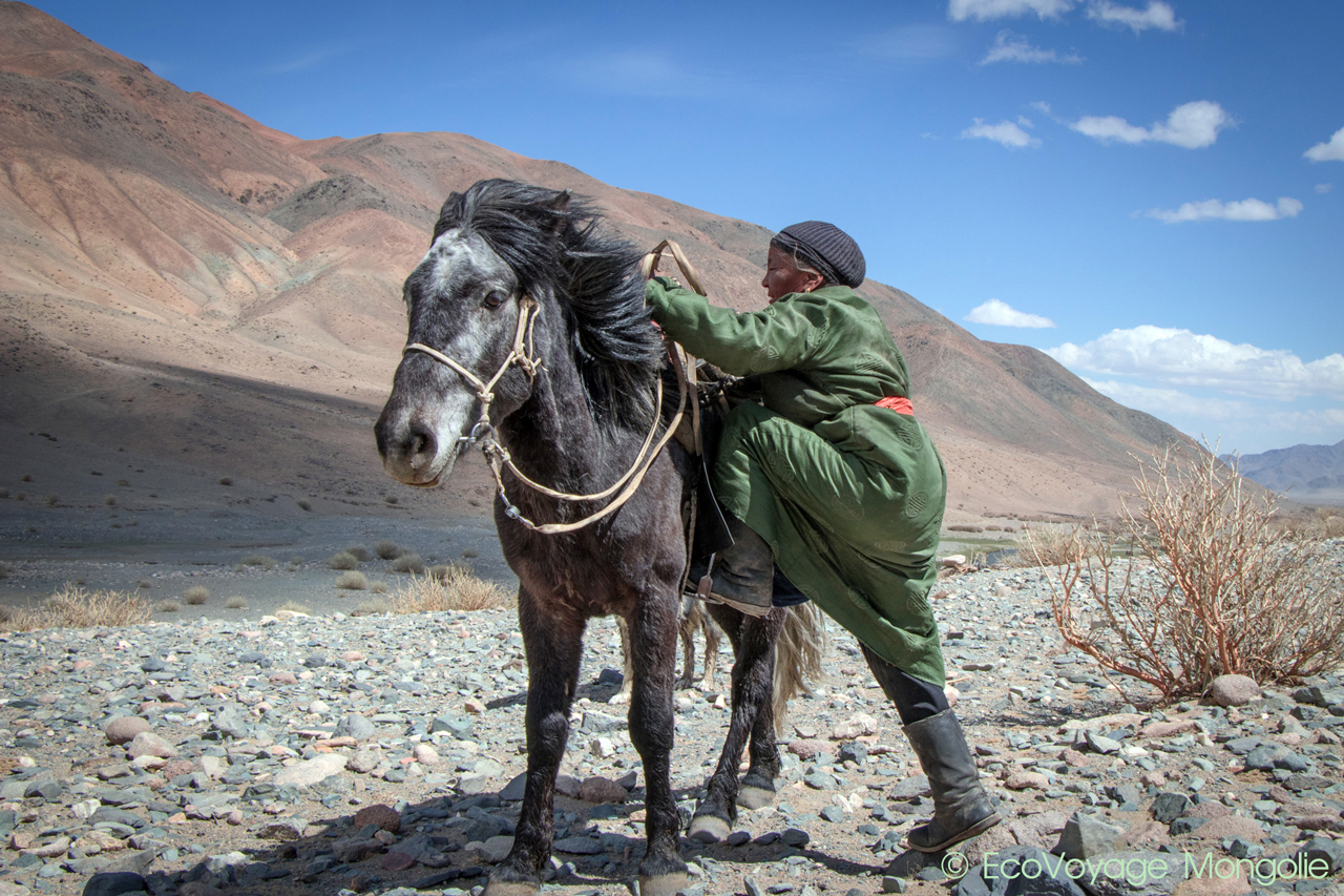 Herder old woman