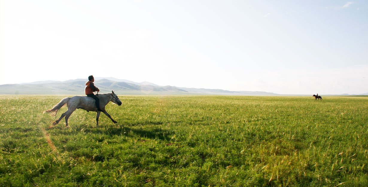 Le cavalier dans la steppe verte voyage mongolie
