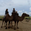 Ecovoyage en Mongolie