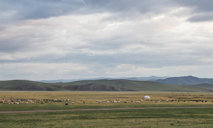 Voyage mongolie