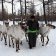 Autour-de-la-Fete-des-Glaces--un-hiver-en-Mongolie6