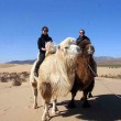 sejour-court-karakorum-eco-voyage-en-mongolie10
