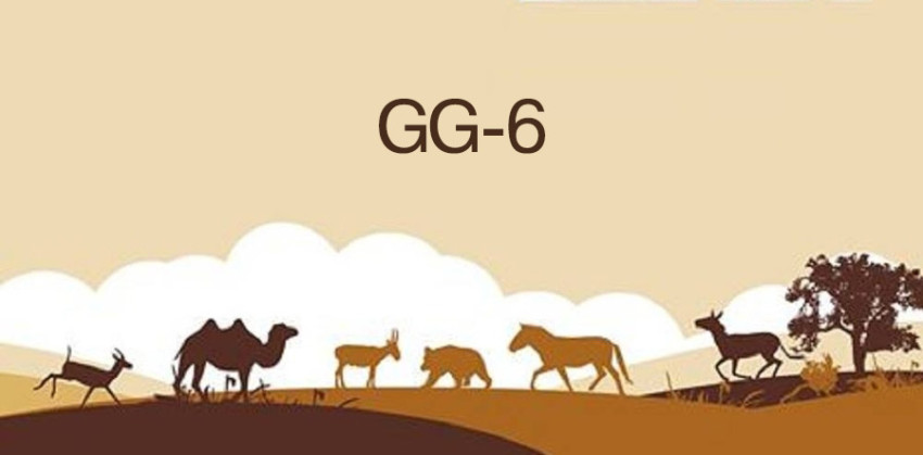 Les six animaux merveilleux de Gobi