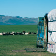 Quelques règles de savoir vivre chez les familles nomades en mongolie