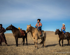 équitation en Mongolie