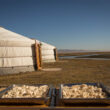 Voyage mongolie yurt